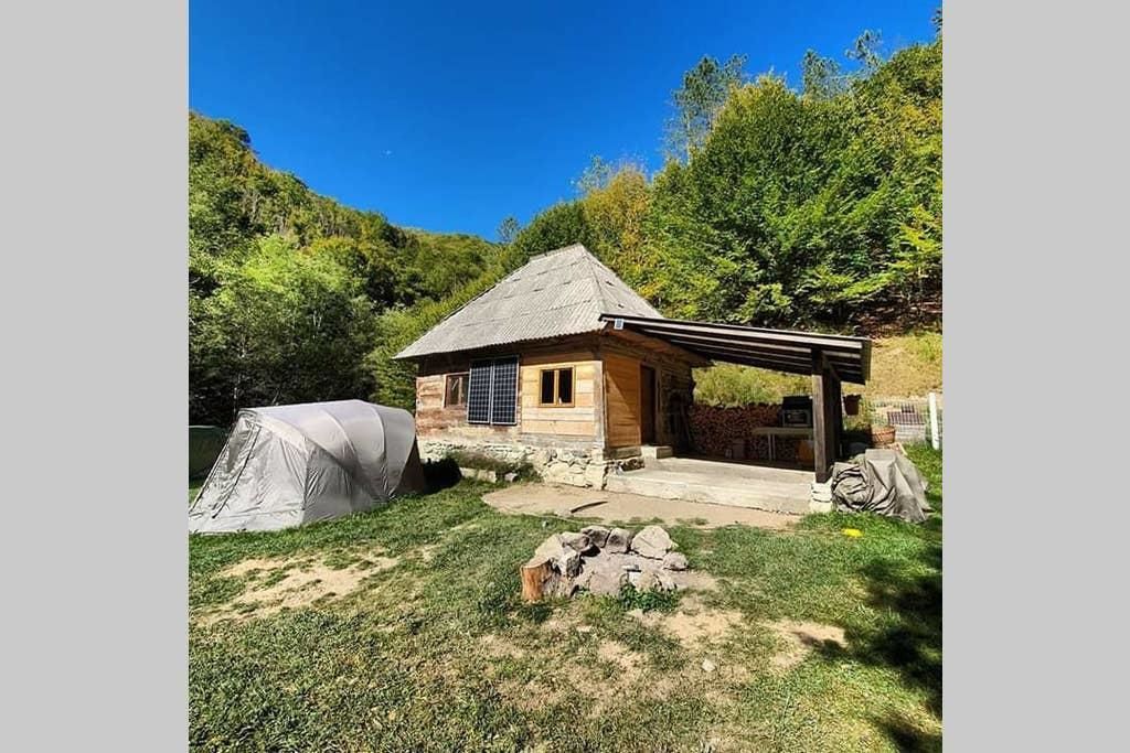 Шале Cozy hut in the wild nature of Romania Rîmeţi-Cheia-16