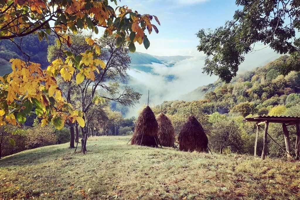 Шале Cozy hut in the wild nature of Romania Rîmeţi-Cheia-20