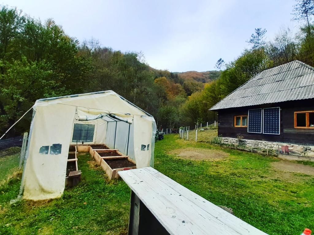 Шале Cozy hut in the wild nature of Romania Rîmeţi-Cheia-33