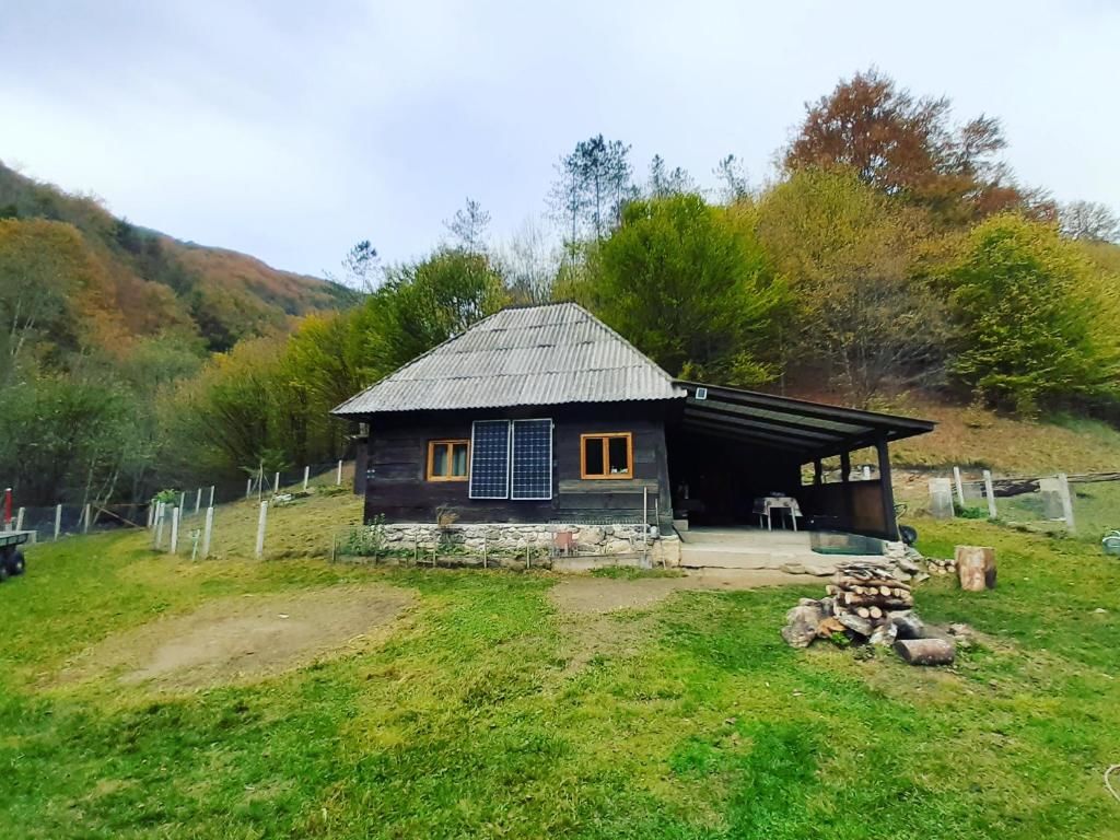 Шале Cozy hut in the wild nature of Romania Rîmeţi-Cheia-39