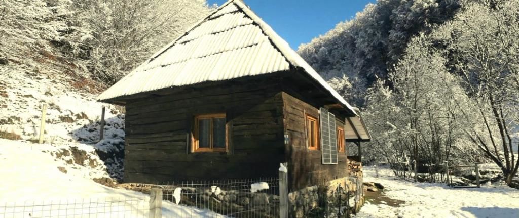 Шале Cozy hut in the wild nature of Romania Rîmeţi-Cheia-47