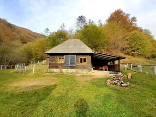 Шале Cozy hut in the wild nature of Romania Rîmeţi-Cheia Шале с одной спальней-32